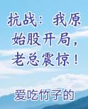 抗战：我原始股开局，老总震惊！