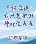 草根狂徒：我只想把田种好亿点点