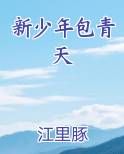 新少年包青天