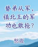 替弟从军，镇北王的军功也敢抢？