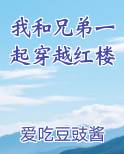 我和兄弟一起穿越红楼