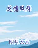 龙啸凤舞