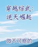 穿越综武：逆天崛起