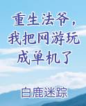 重生法爷，我把网游玩成单机了