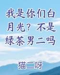 我是你们白月光？不是绿茶男二吗