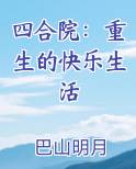 四合院：重生的快乐生活完结小说