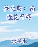 往生契：南槿花开烬