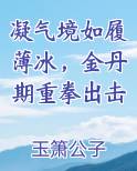 凝气境如履薄冰，金丹期重拳出击