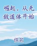崛起，从无敌道体开始