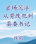 官场沉浮：从劳改犯到县委书记