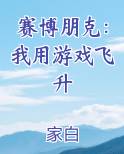 赛博朋克：我用游戏飞升