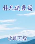林凡逆袭篇