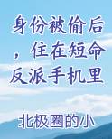 身份被偷后，住在短命反派手机里