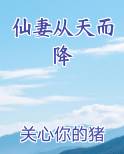 仙妻从天而降