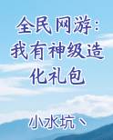 全民网游：我有神级造化礼包完结小说