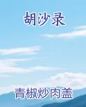 胡沙录