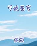 丐破苍穹